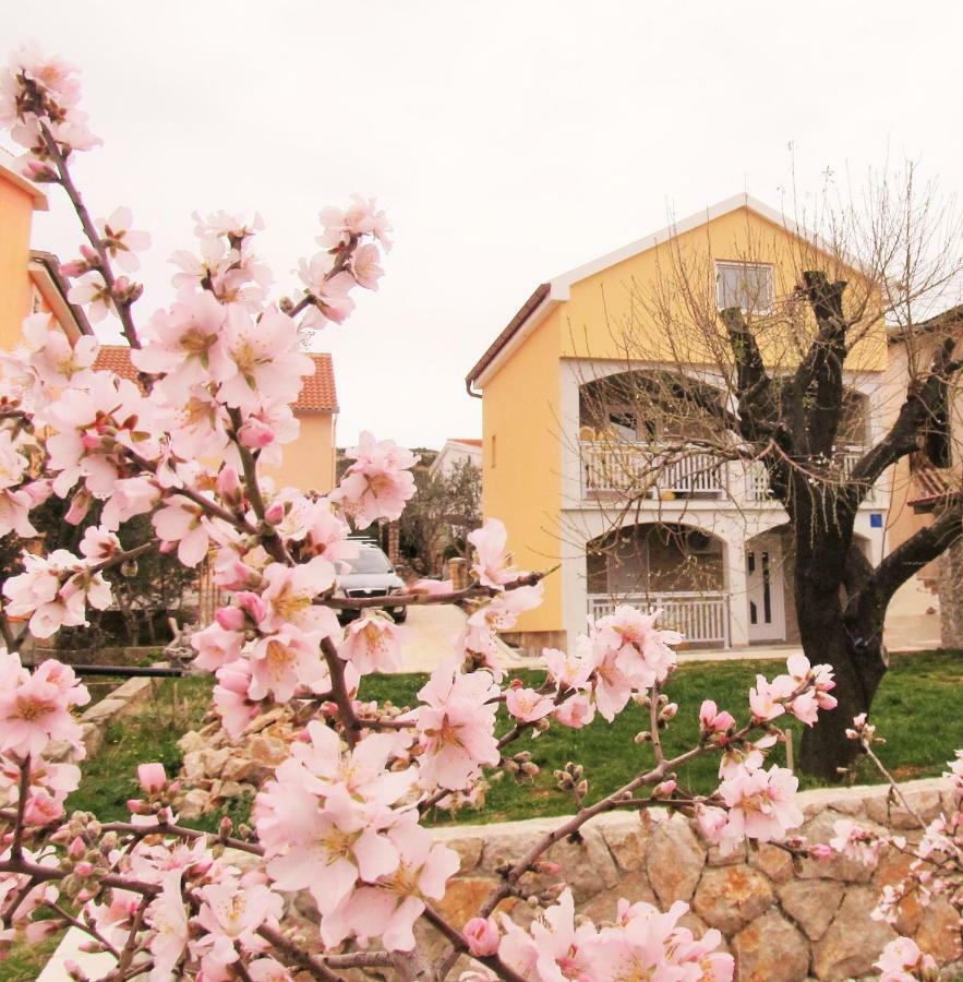 Apartmani Mala Sirena Maslenica Kültér fotó