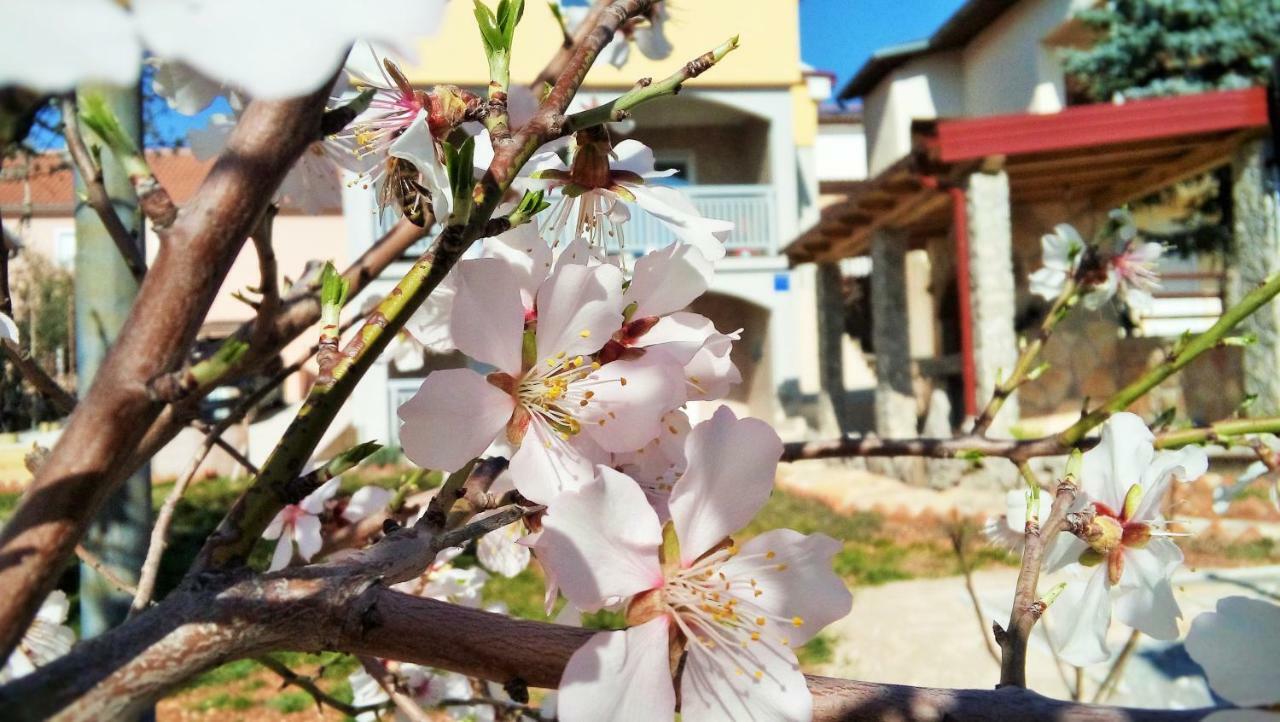 Apartmani Mala Sirena Maslenica Kültér fotó